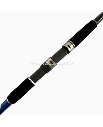 Canna Sunset Aurata SW20 Heavy