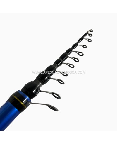 Canna Sunset Superba TSW20