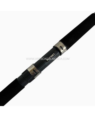 Canna Sunset Superba TSW20