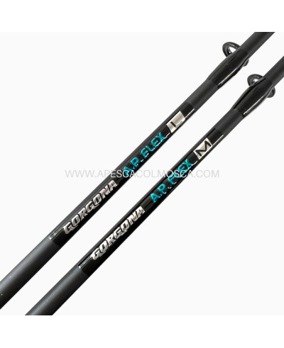 Canna Tubertini Gorgona