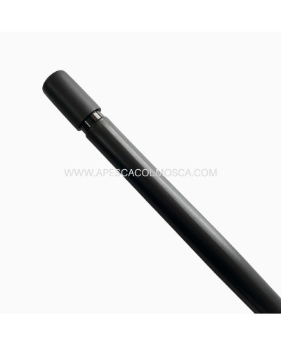 Canna Tubertini Gorgona