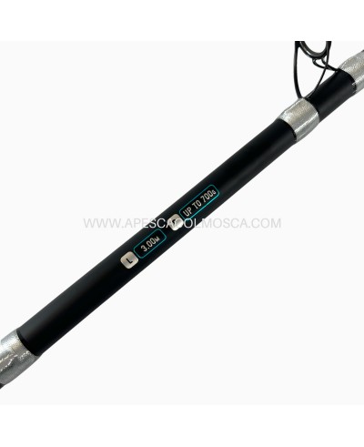 Canna Tubertini Gorgona