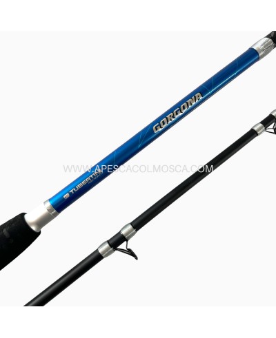 Canna Tubertini Gorgona