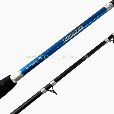 Canna Tubertini Gorgona