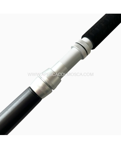 Canna Tubertini Gorgona