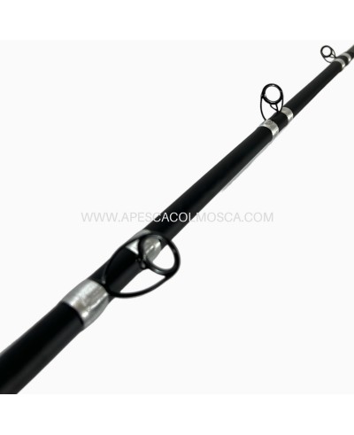 Canna Tubertini Gorgona