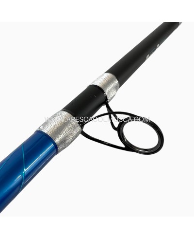 Canna Tubertini Gorgona