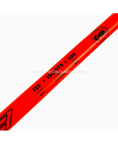 Canna Veret Syria Fluo Edition Orange