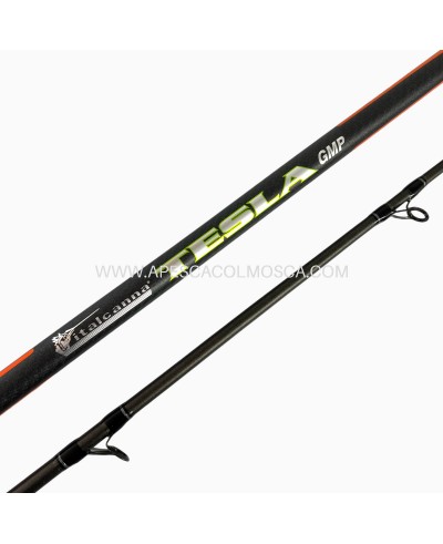 Canna Italcanna Tesla GMP