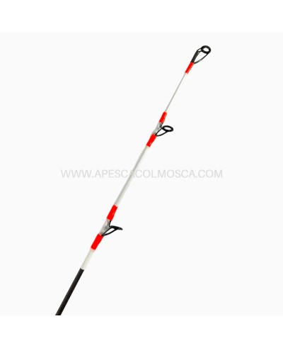 Canna Italcanna Tesla GMP