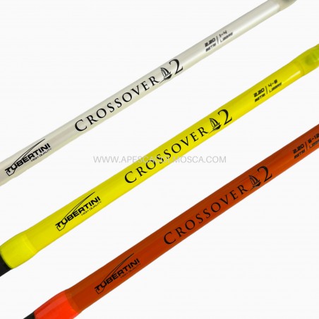 Canna Tubertini Crossover 2