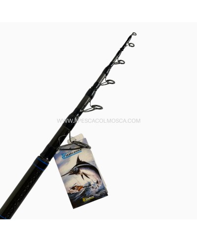 Canna Italcanna Hexagon R3