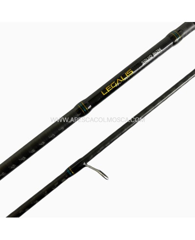 Canna Daiwa Legalis Squid