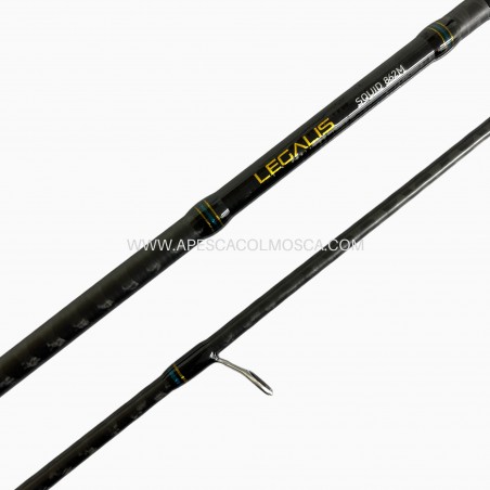 Canna Daiwa Legalis Squid
