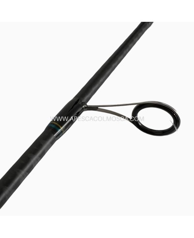 Canna Daiwa Legalis Squid