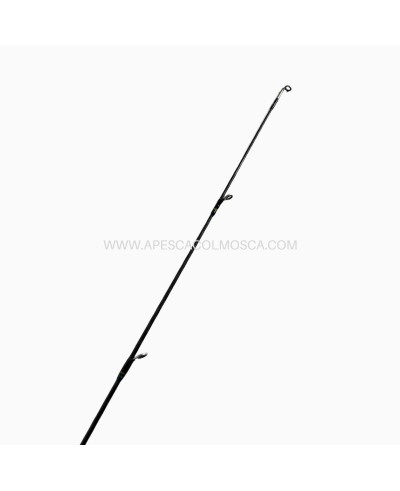 Canna Daiwa Legalis Squid