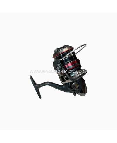 Mulinello Daiwa Shorecast Surf SS 4000