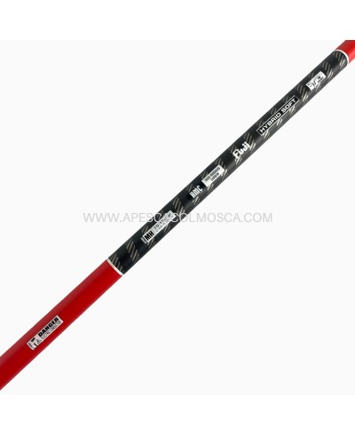 Canna Yuki Saiko Italy Light