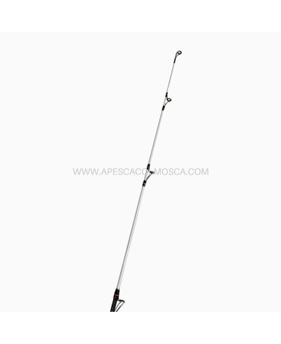 Canna Sunset Nikita Surf Hybrid Lc