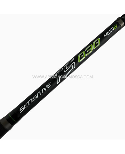 Canna Sunset Mormora TS 030 4006