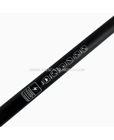 Canna Sunset Mormora TS 030 4006