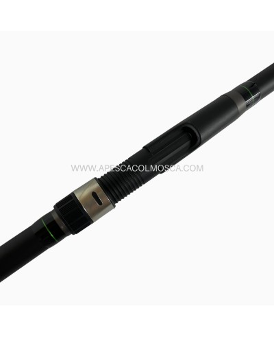 Canna Sunset Mormora TS 030 4006