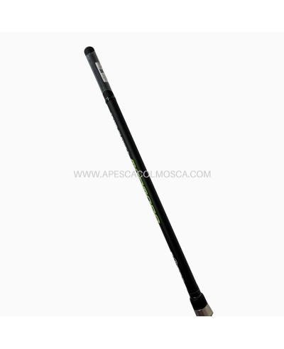 Canna Sunset Mormora TS 030 4006