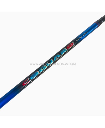 Canna Italcanna Coguaro