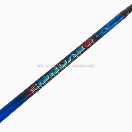 Canna Italcanna Coguaro