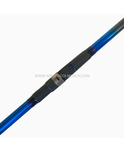 Canna Italcanna Coguaro