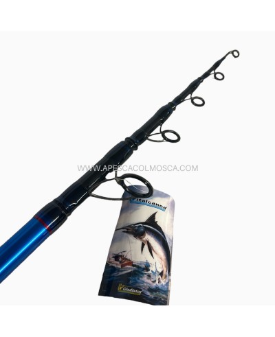 Canna Italcanna Coguaro