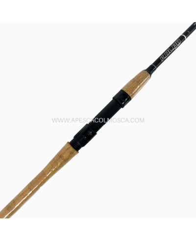 Canna Kolpo Moderna Spin