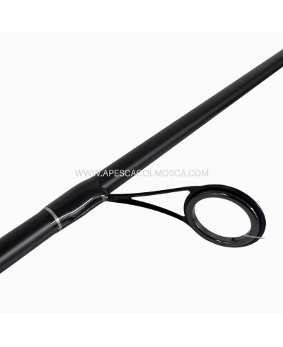 Canna Kolpo Moderna Spin