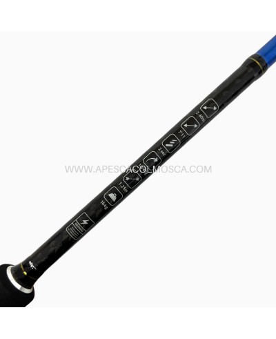 Canna Sunset Sunlure SW20