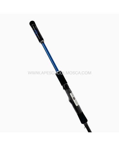 Canna Sunset Sunlure SW20