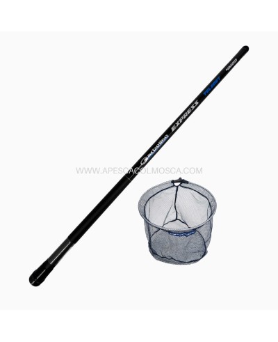 Gaudino Completo Garbolino + Testa Garbolino