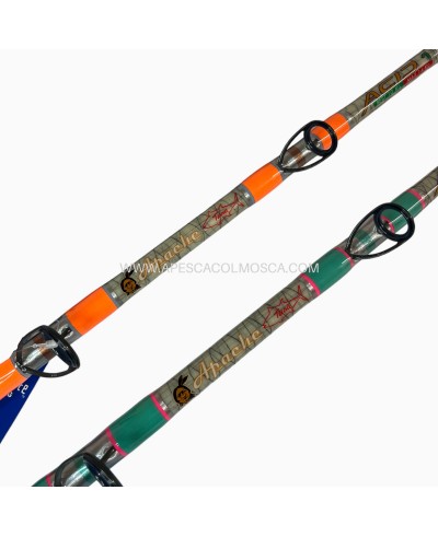 Canna Artico Apache Acid