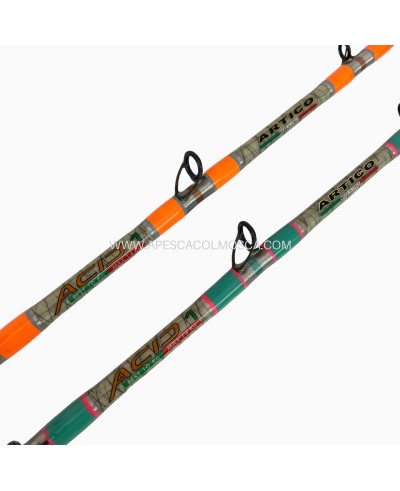 Canna Artico Apache Acid