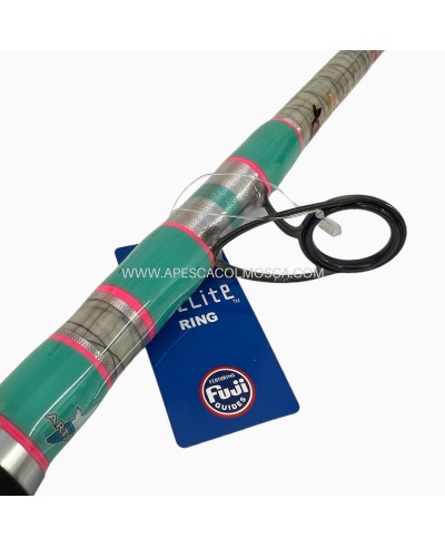 Canna Artico Apache Acid