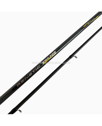 Canna Tubertini Genetic Duo