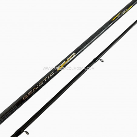 Canna Tubertini Genetic Duo