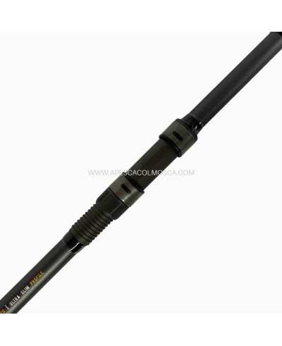 Canna Tubertini Genetic Duo