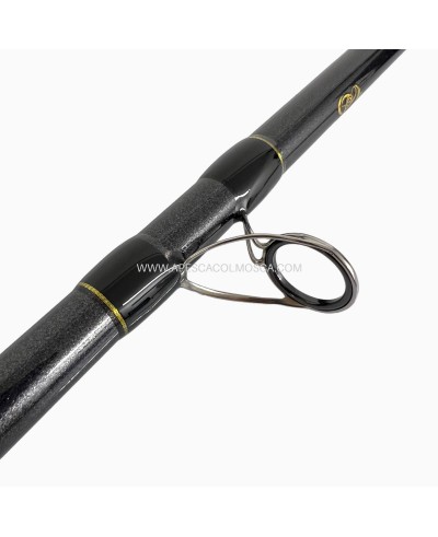 Canna Tubertini Genetic Duo