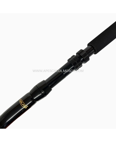 Canna Artico Black Bull