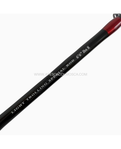 Canna Artico La Fenice