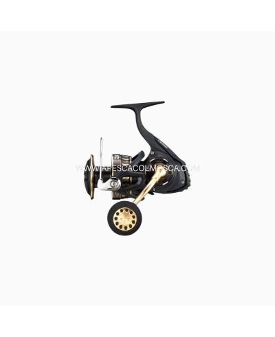 Mulinello Daiwa 23 BG SW