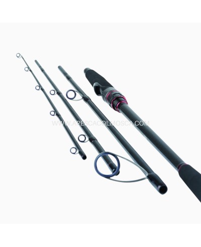 Canna Daiwa Freams Evolution