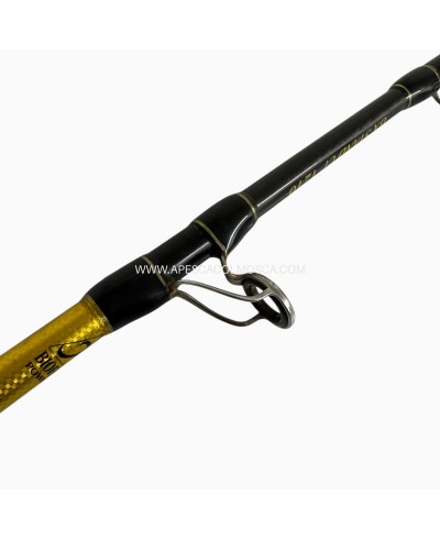 Combo Canna Shimano  Best Master + Mulinello Shimano TLD20