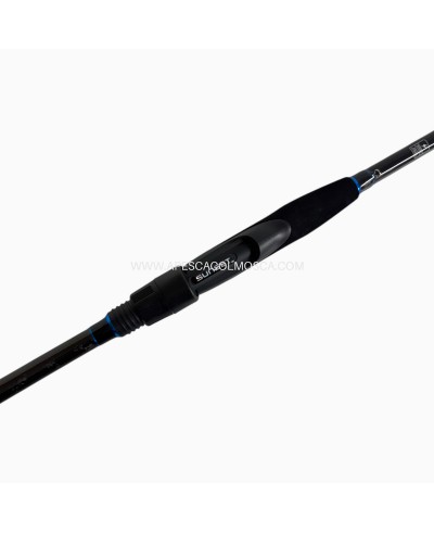 Canna Sunset Prince SW Eging