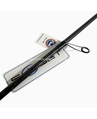 Canna Sunset Prince SW Eging